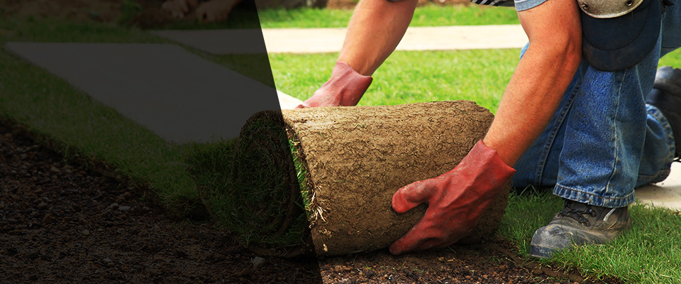 Edinburg Landscapers